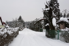 20190110_134410
