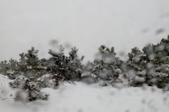 IMG_20190115_145804583