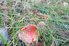 20181006_160329