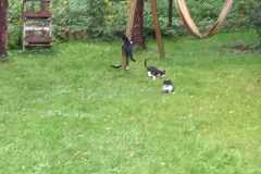 Resized_20251012_124207
