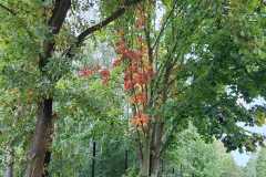 WhatsApp-Image-2025-10-07-at-19.25.04