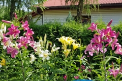 20180715_152347