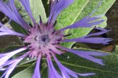 IMG-20240506-WA0000