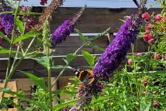 IMG-20240706-WA0001