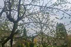 WhatsApp-Image-2026-04-16-at-20.55.14
