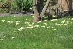 30441806_2024848984421461_252454084555046912_o