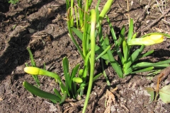 30516148_2024848507754842_4335939273959145472_o