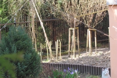 30531289_2024848857754807_7234447388738322432_o