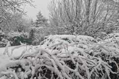 0c94753a-e535-4f79-b97c-e5453fea8331