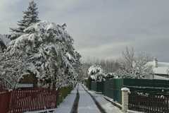 12eb4343-39d6-4363-a5c4-a9ee339167ab