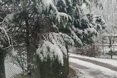23498685-4988-4bef-bb43-246443be1d5d