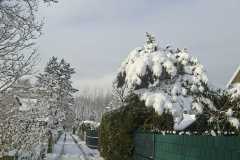 4b7a1713-f0c4-4f56-bd88-81263f9f1b76