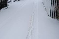 614768670_1924894818450084_1855248543792140157_n