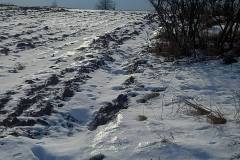 627609825_1942942623311970_1544135041623379518_n