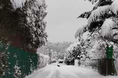 IMG-20260215-WA0003