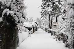 IMG-20260215-WA0005