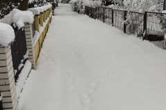 IMG-20260215-WA0006