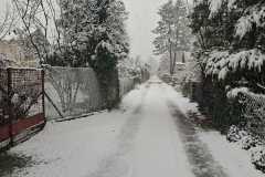 a13edca7-c8a9-4383-966a-c0917040e479