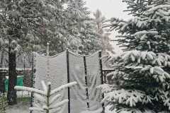 baced1cf-9ffc-43b1-9719-d5c0f91a3b0e