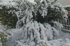 cb0fb3d7-64d9-4699-854a-cfa379516bc8