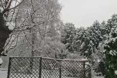 cbf809a4-c7a2-44cc-a33a-ddab3b7be116