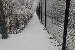 d542f67a-ce1f-403a-9688-bb1839833e58