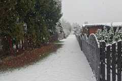 dd804157-9494-4b18-9c2b-2304ac85515b