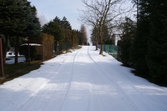 SONY DSC