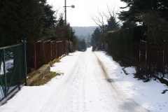 SONY DSC