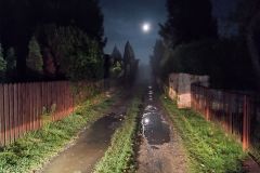 123526857_1118603625581622_49431100096358202_n